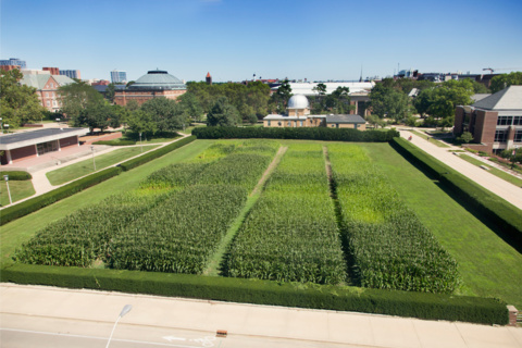 image of agricultural field on university campus