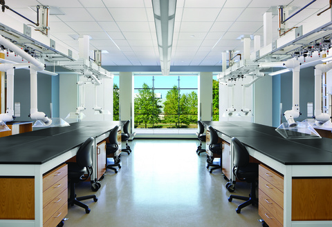 image of wet lab