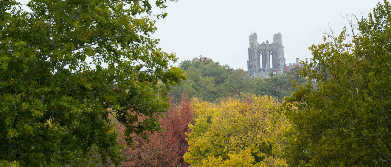 image of fall colored trees with gothic tower in background