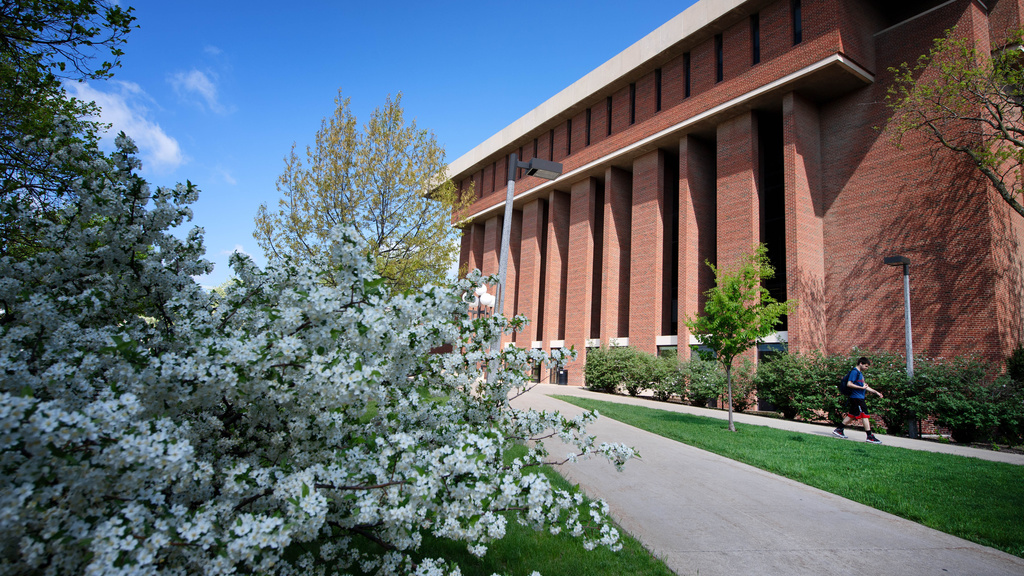 Image of red brick exterior of the Main Library