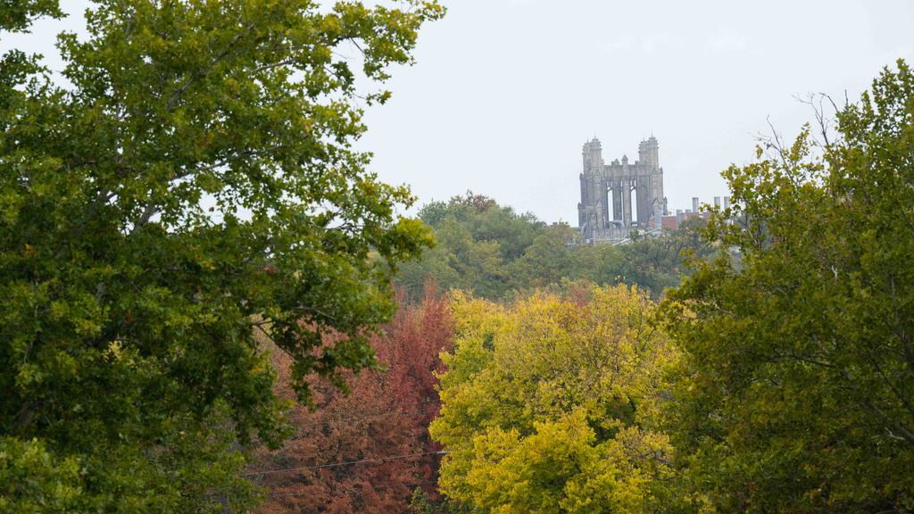 image of fall colored trees with gothic tower in background